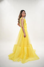 ഗാലറി വ്യൂവറിലേക്ക് ചിത്രം ലോഡ് ചെയ്യുക, Sylvia tulle rose appliqué sleeveless maxi dress