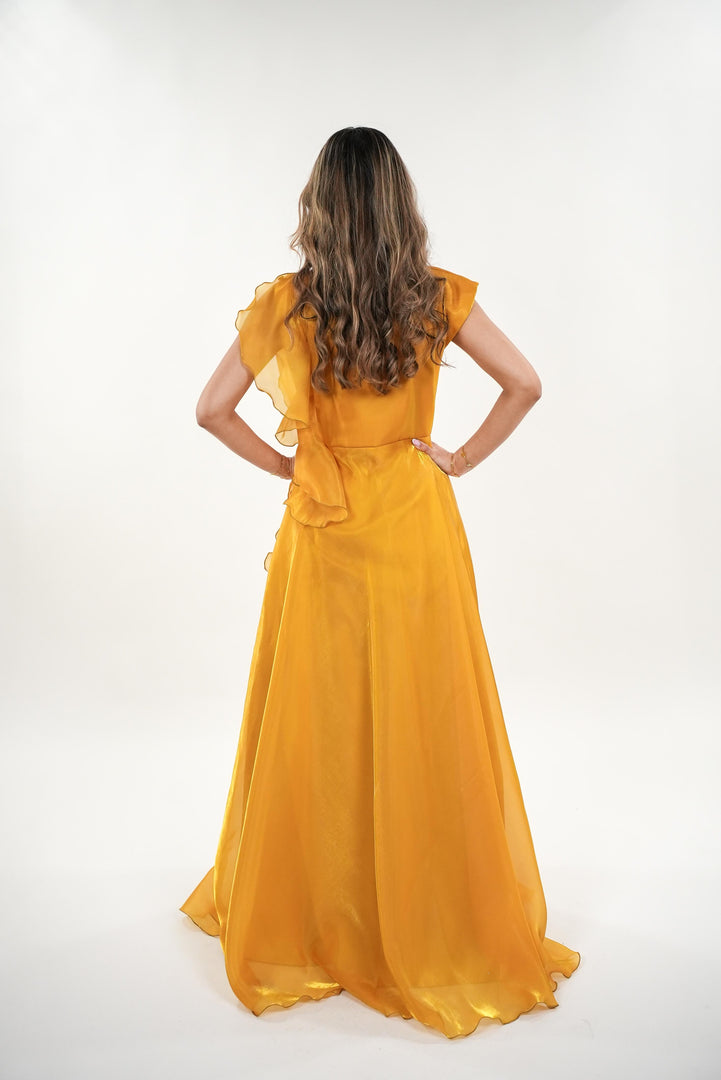 Celia shimmery silk high- neck collar with ruffled train cap sleeved maxi dress