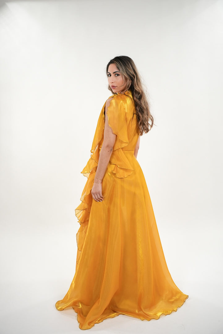 Celia shimmery silk high- neck collar with ruffled train cap sleeved maxi dress