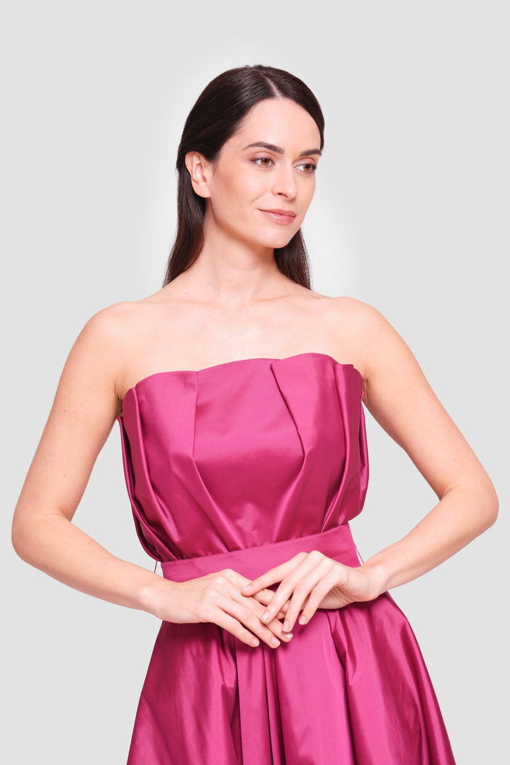 Alin Fuchsia Pink Taffeta Pleated Corset Maxi Dress