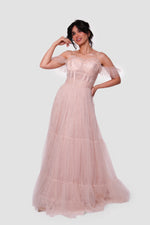 Load image into Gallery viewer, Rozana Blush Pink Tulle With Silver Floral Embellishments Bustier Maxi Dress