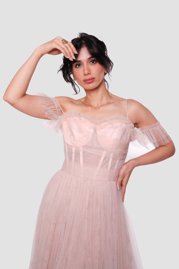 Rozana Blush Pink Tulle With Silver Floral Embellishments Bustier Maxi Dress